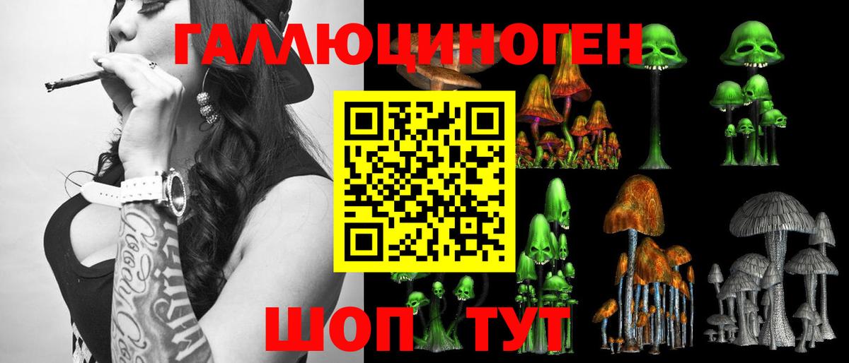 Галлюциногенные грибы прущие грибы  Вход с VPN  Новочеркасск  Галлюциногенные грибы прущие грибы 