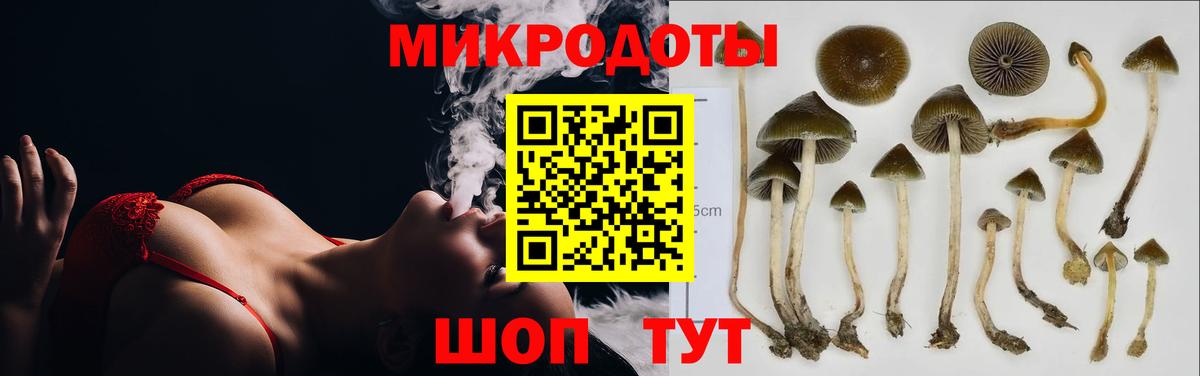 Галлюциногенные грибы MAGIC MUSHROOMS Новочеркасск